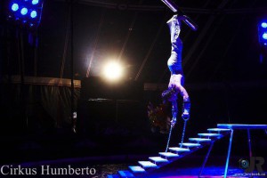 cirkus-humberto-horice-1