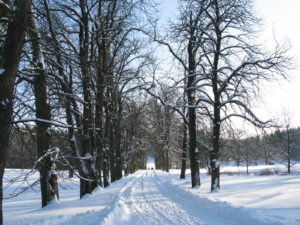 mesto-zamberk-foto-vychodocech-2017-21