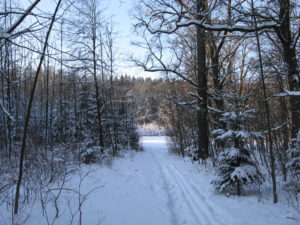 mesto-zamberk-foto-vychodocech-2017-45