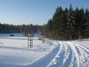 mesto-zamberk-foto-vychodocech-2017-50