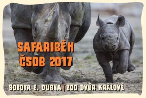 safari-beh-8-4-2017-zoo-dvur-kralove-nad-labem