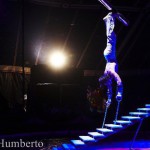 cirkus-humberto-horice-1