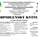 kopidlensky-kvitek-kouzlo-remesel-10-11-rijna-2015