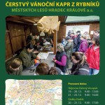 hradecky-kapr-prodej-cerstvych-vanocnich-kapru-2015