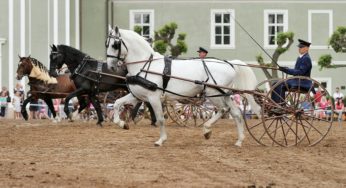 Hradozámecká noc – Národní hřebčín Kladruby nad Labem – sobota 31. srpna 2019