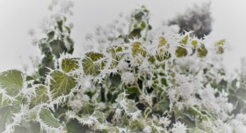 Dnešní noc hrozí silný mráz, varovali meteorologové, pro celé východní Čechy