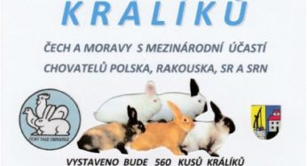 27. Mistrovství klubu masných plemen králíků ČECH a MORAVY – sobota 18.2. – 8 – 15 – Holice