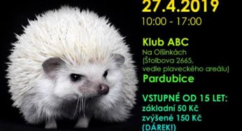 7. mezinárodní výstava Afrických trpasličích ježků – sobota 27. dubna 2019 – Pardubice