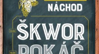 8. ročník náchodského Pivobraní – sobota 20. července 2019 – Masarykovo náměstí Náchod