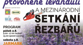 Dny dřeva v Hlinsku provoněné levandulí 2. – 3. srpna 2019 – Hlinsko