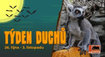 Týden duchů – 26. října – 3. listopadu 2019 – Zoo Dvůr Králové nad Labem