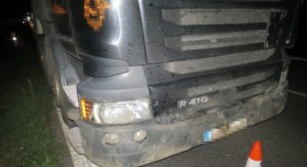 Nebezpečí podzimu – Stádo divokých prasat vběhlo před kamion u Podhorního Újezdu na silnici I/35