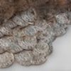 small_foto_3(3)